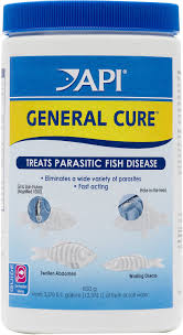 Api General Cure Freshwater Saltwater Aquarium Parasitic Fish Disease Treatment 30 Oz Bottle