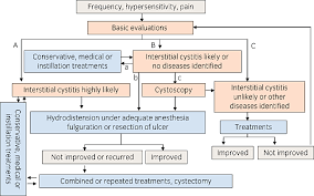 Clinical Guidelines For Interstitial Cystitis And