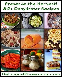 80 dehydrator recipes to preserve the