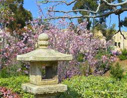 Japanese Friendship Garden And Balboa Park