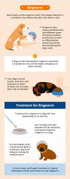 dog hair loss common causes
