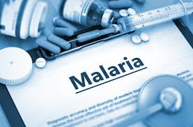 Malaria Symptoms Diagnosis Prevention And Diet Plan
