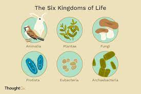 the six biological kingdoms