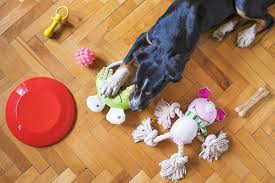 15 diy indestructible dog toys for