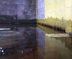 basement flooding prevent repair