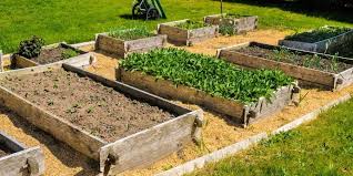 how to start a raised garden bed