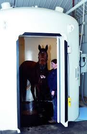 hyperbaric oxygen therapy for horses
