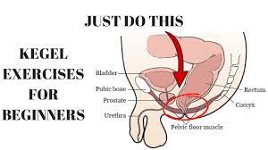 Find out how to use the right muscles, when to do them and how many sets. Kegel Exercises For Beginners Men Youtube