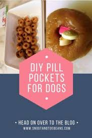 pill pockets for dogs that you can make
