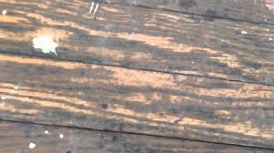 identify wood floors in old houses