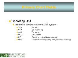 University Of South Florida Fast Chart Field Tips Ppt Download