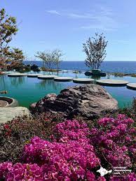 Экскурсия: Японский сад Шесть чувств Отеля «Mriya Resort & SPA» | Цены |  Маршрут | Май, Июнь, Июль 2023 | Ялтинское экскурсионное бюро