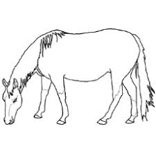 Engaging in a creative process has long been acknowledged for its therapeutic qualities but not everyone has bucking horse running through the mountains. Top 55 Free Printable Horse Coloring Pages Online