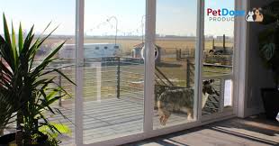 Pet Door