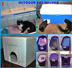 Feral cats need some extra help during the winter. Pin By Kathy Turnbull On Things To Remember Outdoor Cat Shelter Cat House Outdoor Cat House