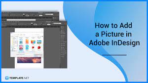 how to add a picture in adobe indesign
