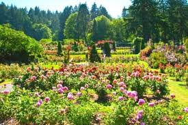 11 Things To Do In Portland Oregon The
