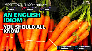 Carrot and stick motivation is a motivational approach that involves offering a carrot (a reward—for good behavior) and a stick (a negative consequence for poor behavior). An English Idiom You Should All Know Ep 371