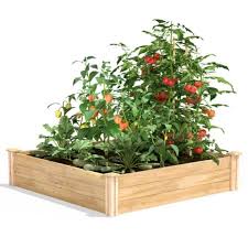 Raised Garden Beds To Grow Plants