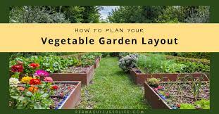 Plan Your Vegetable Garden Layout