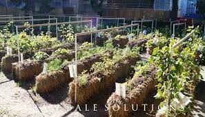 straw bale gardening