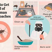 how to get rid of german roaches