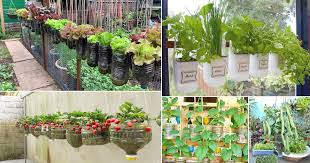 23 Diy Edible Garden Ideas From Plastic