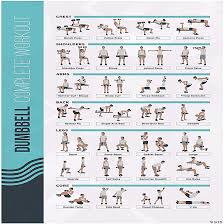 postermate fitmate dumbbell workout