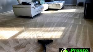 carpet cleaners in fort mill sc