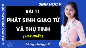 Giải Sinh 9 Bài 11: Phát sinh giao tử và thụ tinh | Hay nhất Giải bài tập  Sinh học 9