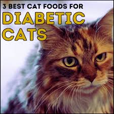 3 best cat food for a diabetic cat non