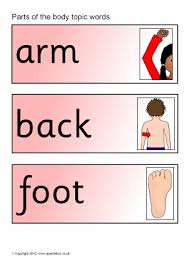 Body Parts Teaching Resources Printables For Early Years
