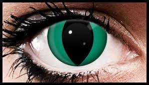 Yellow cat eye contact lenses (costume & cosplay) online. Zombie Cat Crazy Coloured Contact Lenses 90 Days Beautifeye Co Uk