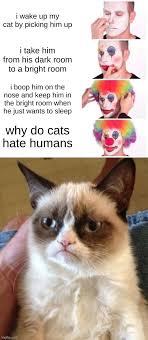 cats clown applying makeup memes gifs