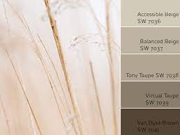 The darkest or most saturated color on the beige paint color swatches will tell you. Accessible Beige Color Review By Laura Rugh Rugh Design
