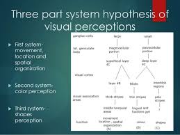 Physiology Of Vision