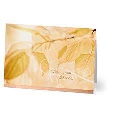 Amazon Com Hallmark Business Sympathy Cards For Employees Or