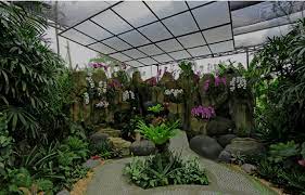 duta orchid discover the enchanting oasis