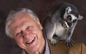 Born 8 may 1926) is an english broadcaster and natural historian. David Attenborough Turns 91 His 10 Best Documentaries To Stream Online