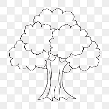 tree drawing png transpa images