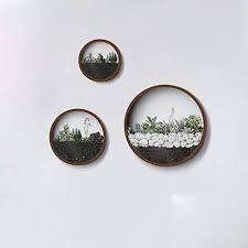 3 Pack Set Wall Planters Modern Round