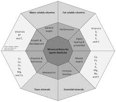 micronutrients and athletic performance