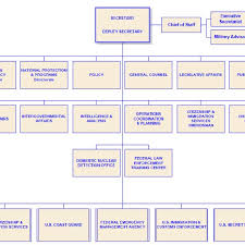 Dhs Organizational Chart Download Scientific Diagram