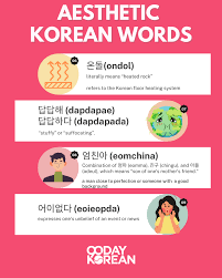 korean words basic voary to