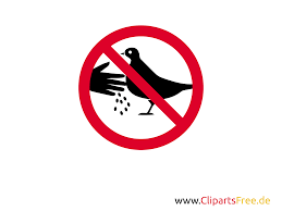 Füttern verboten schilder zum ausdrucken : Verbotszeichen Illustration Futtern Vogel Verboten