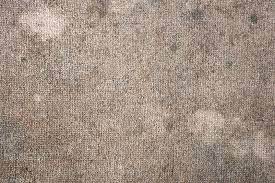 5 signs that you have mold in your carpet