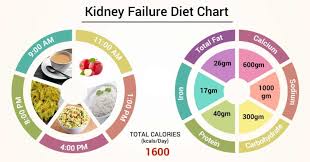 Diet Chart For Kidney Failure Patient Kidney Failure Diet