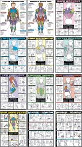 Fitnus Chart Flip Chart 12 Posters In 1 Book Amazon Home
