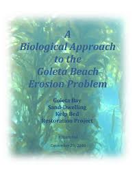 A Biological Approach To The Goleta Beach Erosion Problem 12
