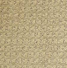 turtle dove crown mill polyester carpet